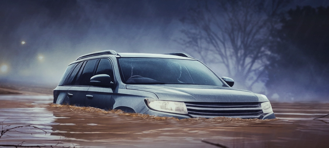 Promotional image